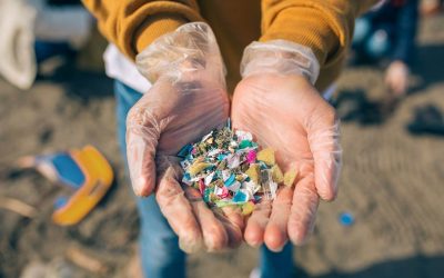 CIENTÍFICOS ESPAÑOLES DISEÑARON UNA PROTEÍNA ARTIFICIAL QUE DIGIERE EL PLÁSTICO