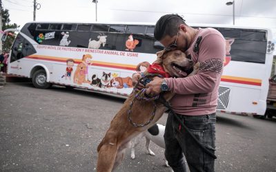 SABIAS QUÉ: ¿UN BUS RECORRE EL SUR DE BOGOTÁ ATENDIENDO A LOS ANIMALES EN CONDICIÓN DE CALLE? (COLOMBIA)