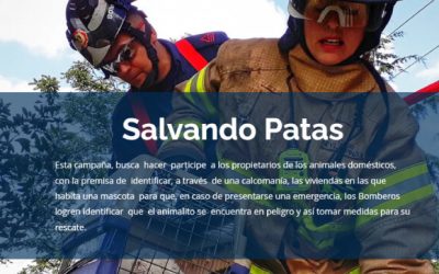 SALVANDO PATAS DE BOMBEROS DE BOGOTÁ (COLOMBIA)