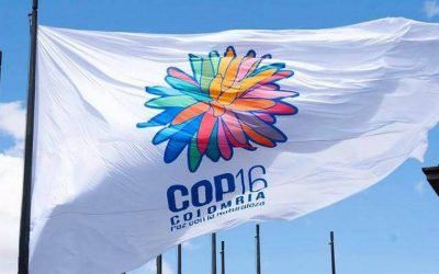 BIENVENIDO EL MUNDO A LA COP16