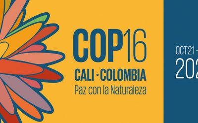 QUÉ ES LA COP16 Y PORQUÉ ES TAN IMPORTANTE PARA COLOMBIA