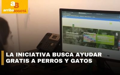 SABIAS QUE: ¿TELEVET, ES LA NUEVA PLATAFORMA DE TELE ORIENTACIÓN GRATIS PARA PERROS Y GATOS EN BOGOTÁ? (COLOMBIA)