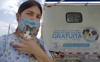 PROGRAMA “ESTERILIZAR SALVA” SE REACTIVA EN LAS 20 LOCALIDADES DE BOGOTÁ (COLOMBIA)