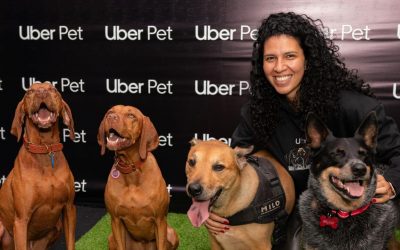 UBER LANZÓ UN NUEVO SERVICIO QUE LE PERMITE VIAJAR CON SUS MASCOTAS (COLOMBIA)