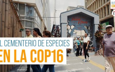 SABIAS QUÉ: ¿EN LA COP16 HAY UN CEMENTERIO DE FAUNA Y FLORA Y UN JARDÍN DE LAS SEGUNDAS OPORTUNIDADES? (COLOMBIA)